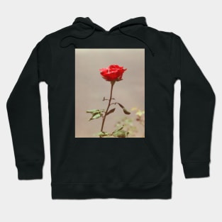 Red Red Rose Hoodie